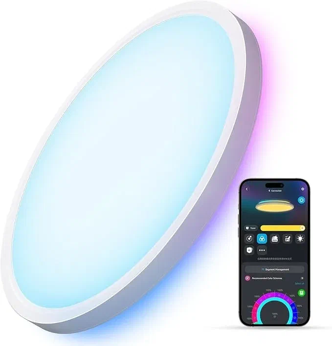 Govee Smart Ceiling Light in modern home office setup with adjustable color temperature and Wi-Fi control.